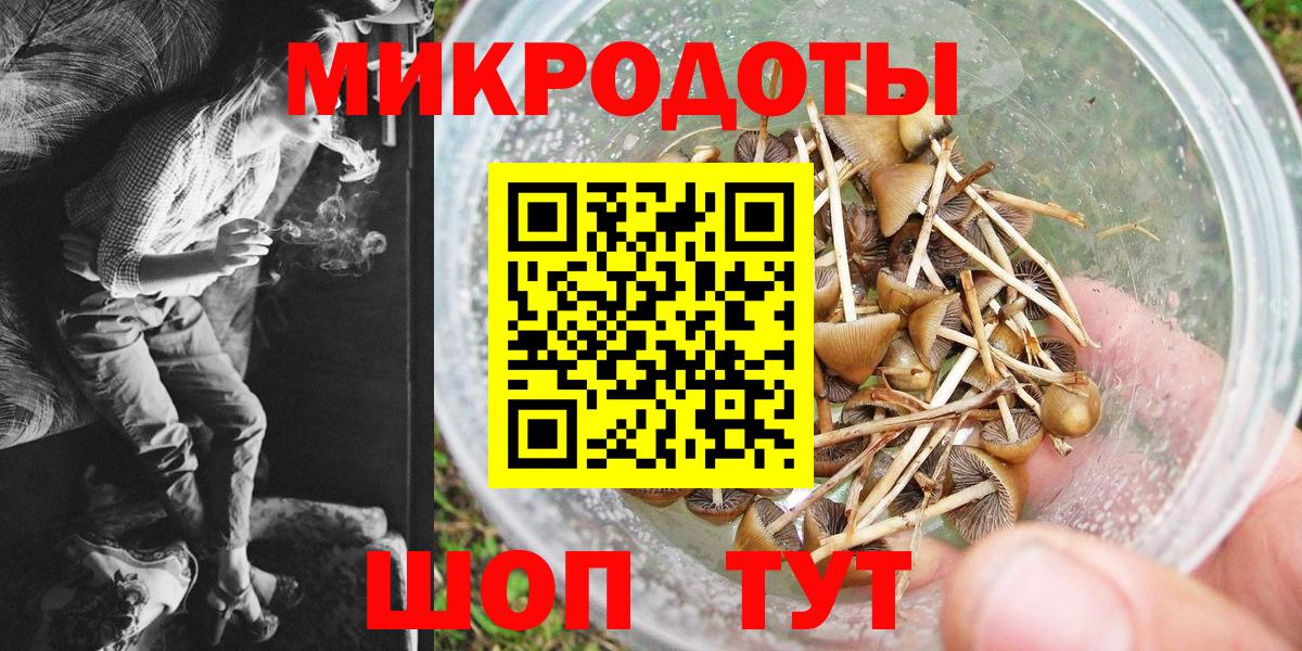 Псилоцибиновые грибы мицелий Абинск