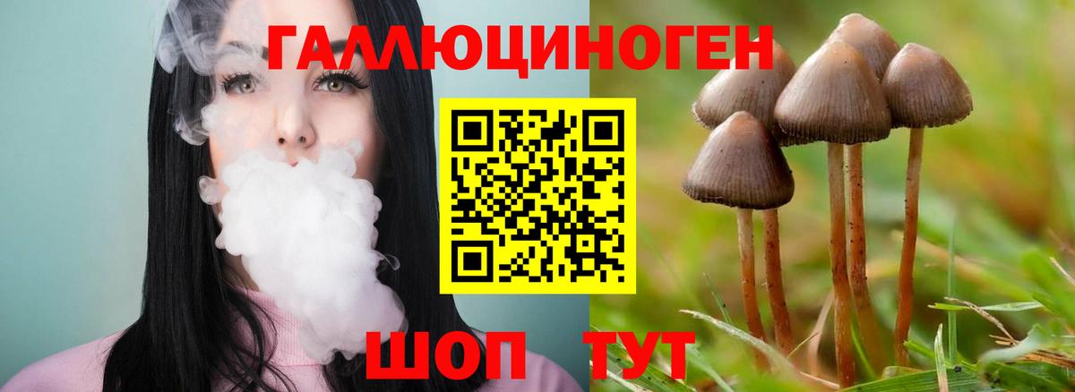 Псилоцибиновые грибы Magic Shrooms  Вход с VPN  Абинск  Псилоцибиновые грибы Psilocybe 